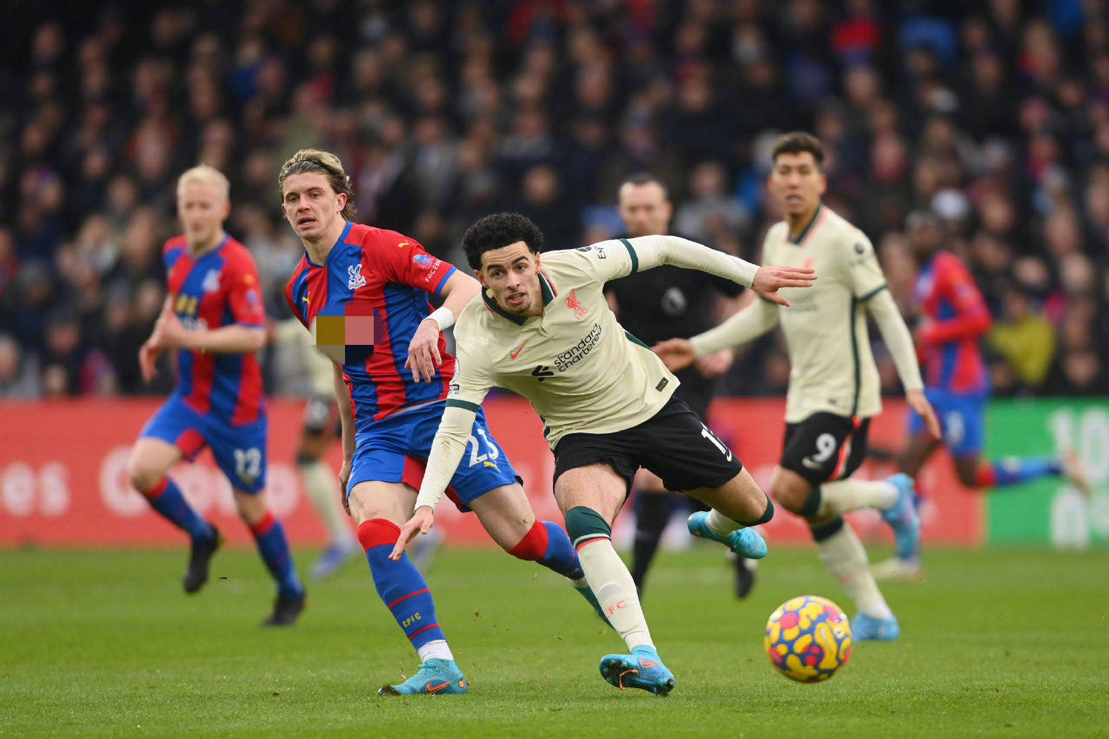 不仅有东道 不仅有东道