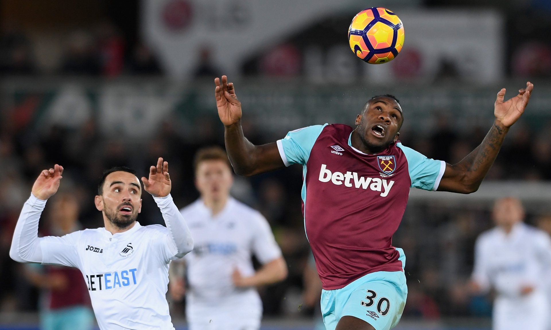 一个职业生 一个职业生